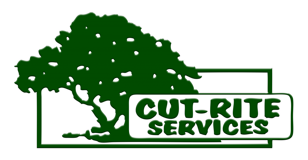 Cut-Rite Tree Services Logo in green with a white stroke
