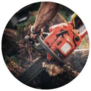 Man uses chainsaw to cut wood in a circle