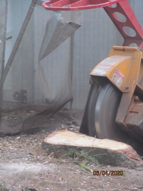 Stump grinder grinding down a stump
