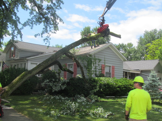 Crane cutter helps clear away a fallen tree on the house.